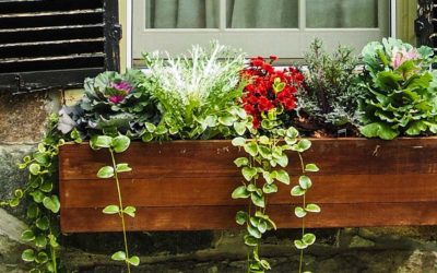 Best Window Box Planters | 2023 Window Planter Box Ideas