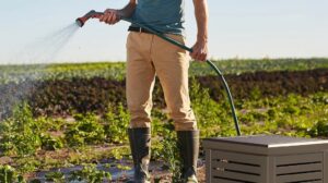 Hose Reel Box - 100 ft Reel with Outdoor Water Hose Storage for Gardens & Patios