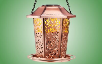 Solar Bird Feeder Review: Day and Night Delight