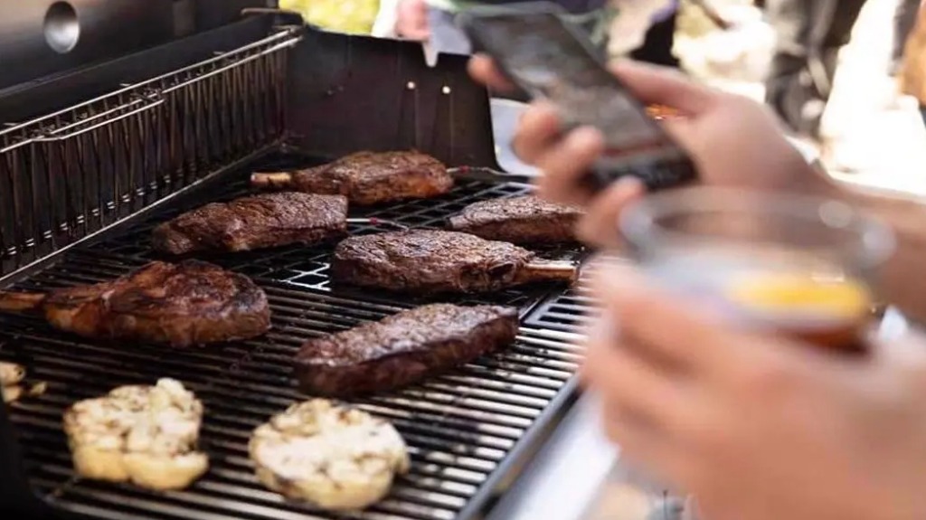 Weber Gas Grills for Awesome Patio Grilling & Outdoor Cooking with Family