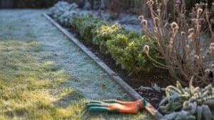 january fertilization who needs