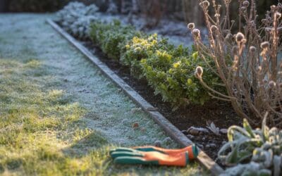 January Fertilization: Who Needs It and Who Doesn’t