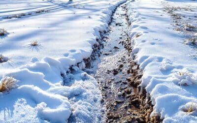 Drainage Problems Revealed: How Winter Shows You Where Water Goes