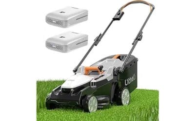 Litheli 16.2 Inch Lawn Mower Review